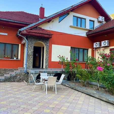 Pensiunea Orhideea Băile Herculane Dış mekan fotoğraf