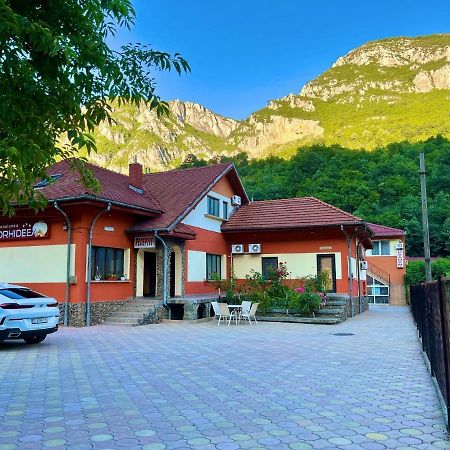 Pensiunea Orhideea Băile Herculane Dış mekan fotoğraf