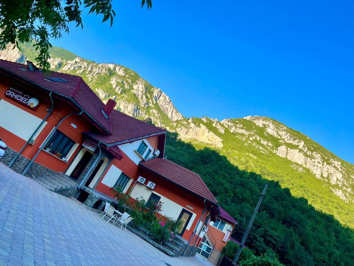 Pensiunea Orhideea Băile Herculane Dış mekan fotoğraf