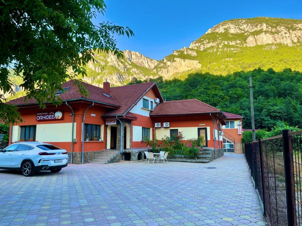 Pensiunea Orhideea Băile Herculane Dış mekan fotoğraf