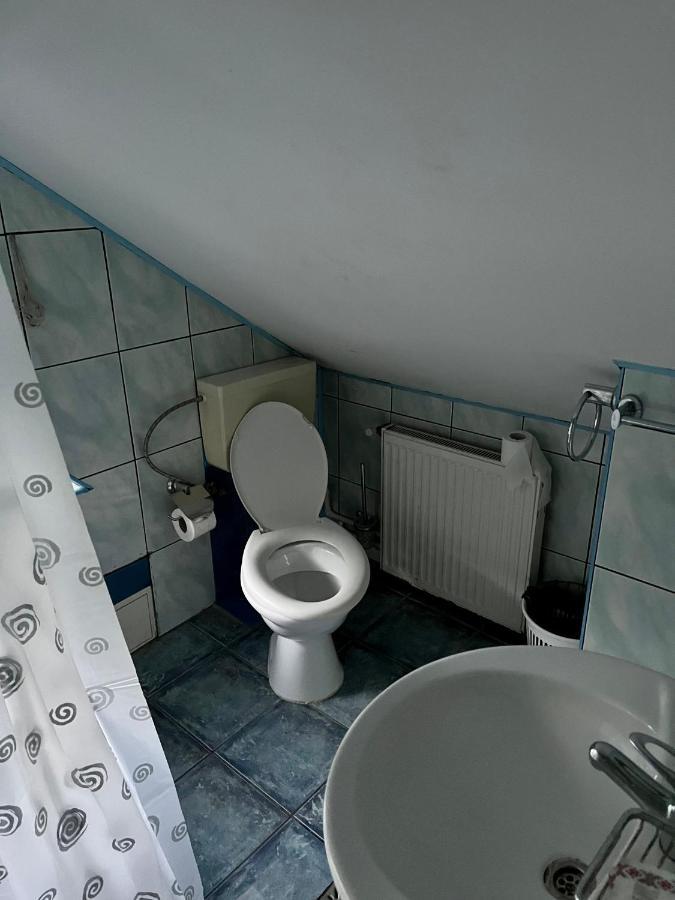Pensiunea Orhideea Băile Herculane Dış mekan fotoğraf
