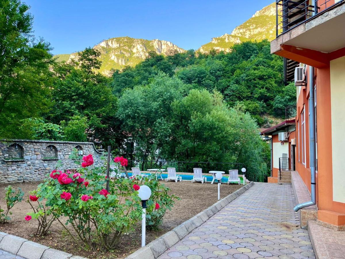 Pensiunea Orhideea Băile Herculane Dış mekan fotoğraf